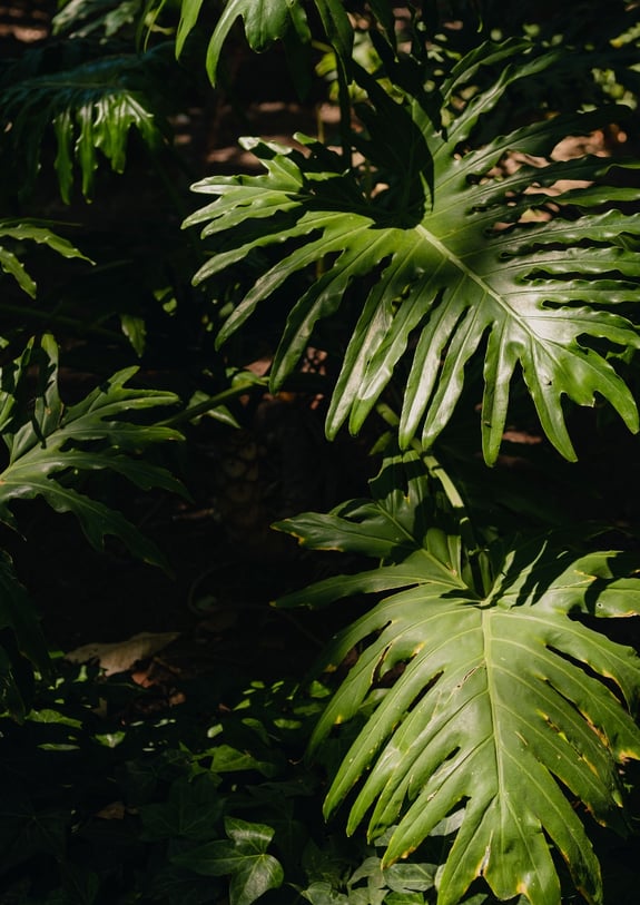 Background-2