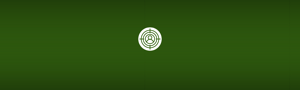 Our Solutions Icons - Horizontal-2
